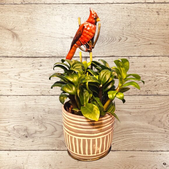 Red Robin Bird Metal Wall Hanger - Plant - Accessories - Crafts - Picture 3 of 7